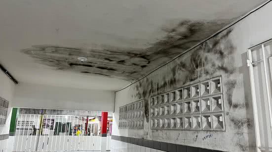 Registro de parede mofada feito pela equipe do Ministério Público Federal durante a inspeção - Divulgação / MPF-AL