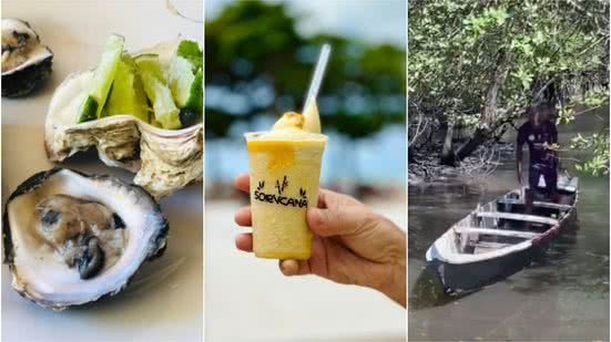 Imagem Sorvete de cana e criatório de ostras; veja o que vai rolar no Fique Alerta deste sábado, 20
