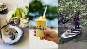 Imagem Sorvete de cana e criatório de ostras; veja o que vai rolar no Fique Alerta deste sábado, 20