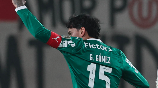 Cesar Greco / Palmeiras