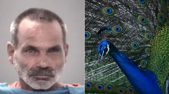 Reprodução/Polícia de Pasco e Reprodução/Freepik