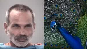 Reprodução/Polícia de Pasco e Reprodução/Freepik