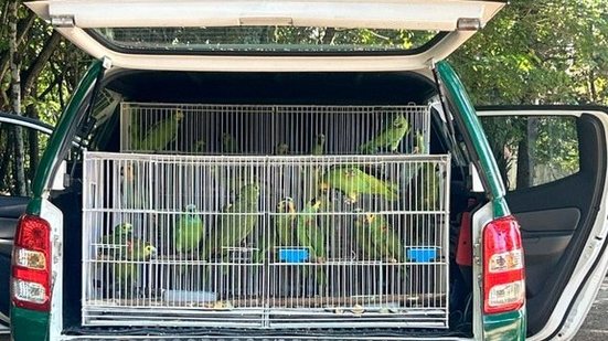 Foto: Divulgação/IBAMA