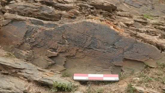 Foto: Reprodução/Memória Cultural de Guangming