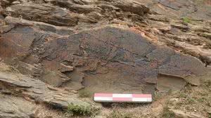 Foto: Reprodução/Memória Cultural de Guangming