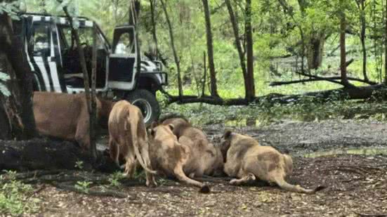 Foto: Reprodução/Redes Sociais