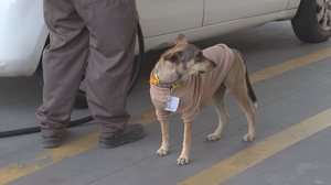 Foto: Reprodução/TV Pajuçara