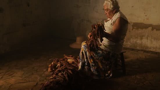 Imagem Mostra de cinema dá visibilidade a obras de cineastas mulheres cis, trans, não-binárias e travestis