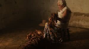 Imagem Mostra de cinema dá visibilidade a obras de cineastas mulheres cis, trans, não-binárias e travestis