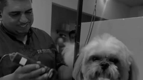 Reprodução / Instagram