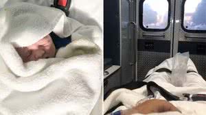 Foto: Reprodução/Redes Sociais