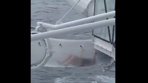 Foto: Reprodução/X