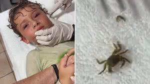 Foto: Reprodução/Redes Sociais