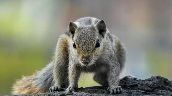 Foto: Ilustrativa/Pexels