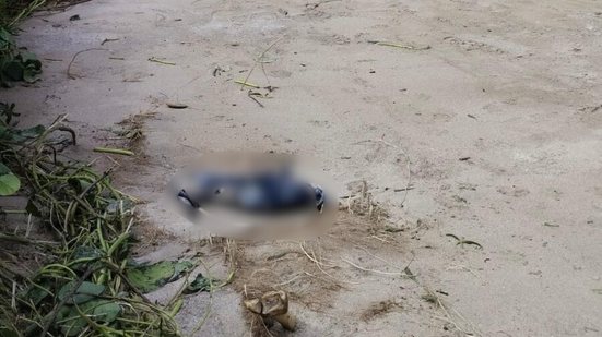 Divulgação / Polícia Científica