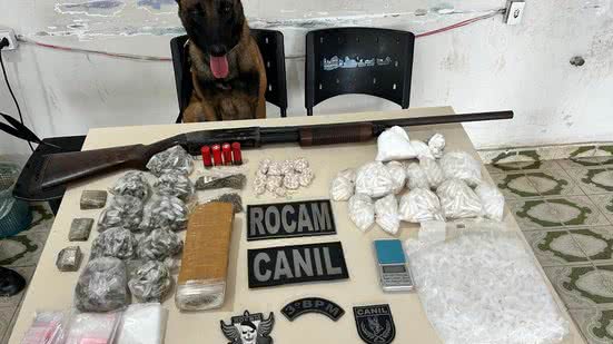 Ocorrências foram registradas em ações da Rocam e do Canil do 3º BPM - Foto: Ascom PM