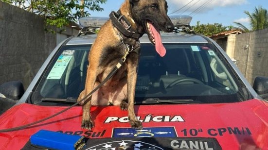 Imagem PM cumpre mandado judicial e prende dois suspeitos de tráfico de drogas