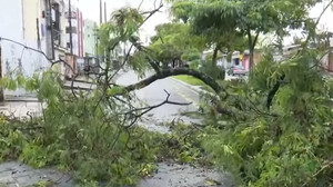 Reprodução/TV Pajuçara