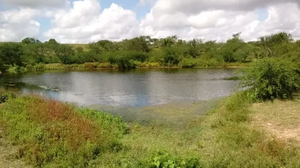 Homem desapareceu no sábado após mergulhar em barragem