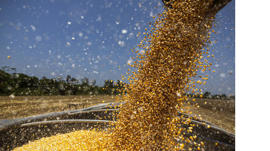 O boom se explica sobretudo pela rentabilidade do negócio - Foto: Folhapress