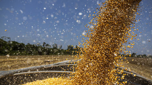 O boom se explica sobretudo pela rentabilidade do negócio - Foto: Folhapress