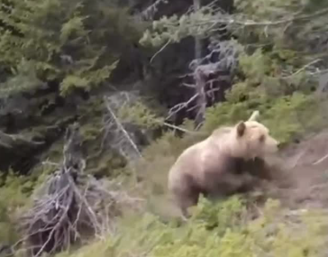 Foto: Reprodução/Redes Sociais