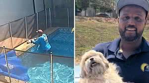 Vinicius, piscineiro que salvou Choquito do afogamento, ao lado do cachorro já recuperado em Goiânia - Reprodução câmera de segurança | Arquivo pessoal / Vinicius Orlando