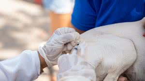 Diogo Canuto/Secom Maceió