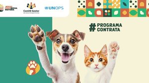 Imagem Programa seleciona empresa para realização de curso sobre cuidados com animais