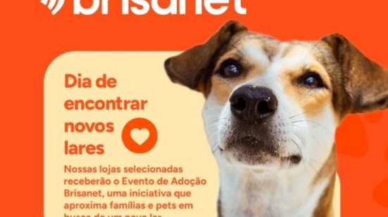 Imagem Grupo Pata Amada realiza feira de adoção neste sábado (25)