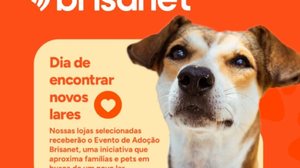 Imagem Grupo Pata Amada realiza feira de adoção neste sábado (25)