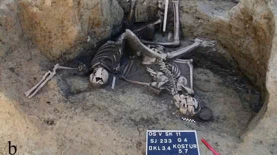 Foto:  M. Novak et al.