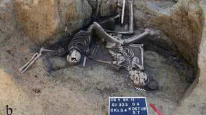 Foto:  M. Novak et al.