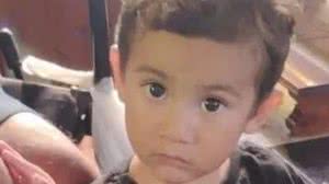 Drones e cães são usados para buscar menino que sumiu dentro de casa no PR - Polícia Civil do Paraná / Divulgação