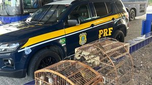 Foto: Divulgação/PRF