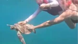 Foto: Reprodução/ICMbio