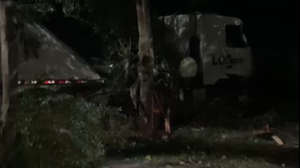 Motorista perdeu o controle de caminhão, saiu da pista e colidiu em árvores - Foto: Reprodução