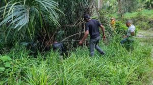 Foto: Divulgação/CBM-AL