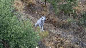 Foto: Reprodução/X