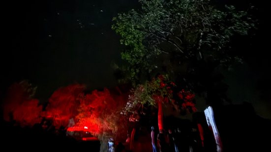 Polícia Civil investiga duplo homicídio na zona rural de Senador Rui Palmeira - Divulgação / PC-AL