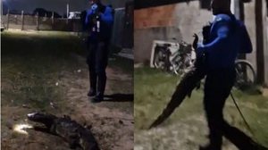 Reprodução/Vídeo Cortesia