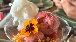 Imagem Felicidade saborosa é ter o Kareuóka de volta