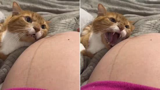 Foto: Reprodução/Redes Sociais