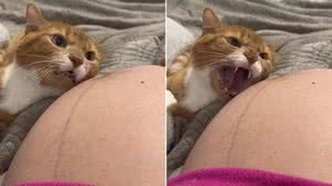 Foto: Reprodução/Redes Sociais