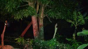 Local onde o corpo da vítima foi encontrado - Cortesia