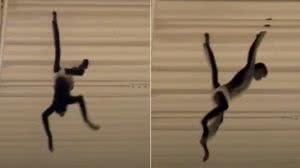 Foto: Reprodução/ Arlene Pinkston via Storyful