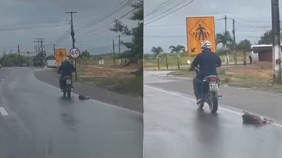 Imagem Vídeo mostra cachorro sendo arrastado por motociclista em Rio Largo; dono de veículo é identificado