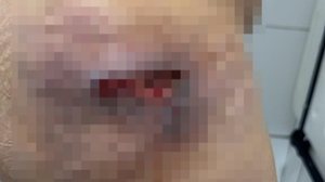 Foto: Cortesia ao TNH1