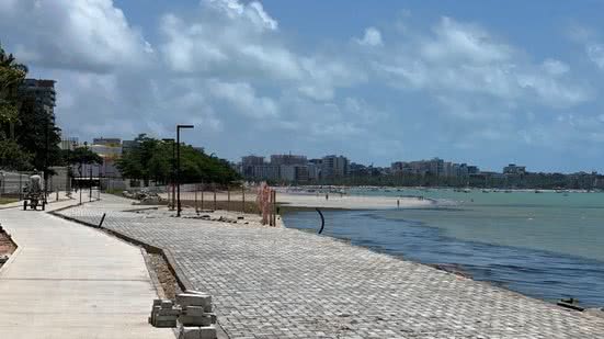 Clara Damaso/Seminfra