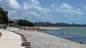 Clara Damaso/Seminfra